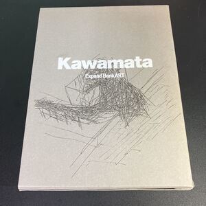 22-6-27『 Kawamata Expand BankART 』川俣 正　2013年　函入り３冊セット 川俣正