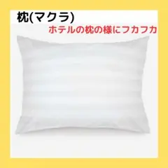 枕 マクラ まくら ベッドピロー 睡眠用 標準サイズ 通気性 コットン ホワイト