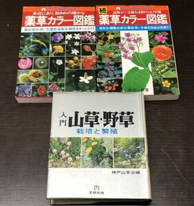 送料込! 薬草カラー図鑑 正 続 わたしの健康 別冊 主婦の友社 入門 山草 野草 栽培と繁殖 神戸山草会 3冊セット (Y24)