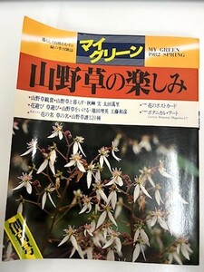 【菊水-8801】◆緑の季刊雑誌 マイグリーン　山野草の楽しみ 1982春/創刊号◆山野草鑑賞／山野草と暮らす◆古本・古書 ユーズド・中古◆KT