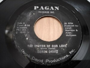 FUNK45 DEREK DAVID / the winter of our love b/w the morning after 