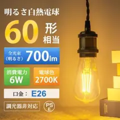 LED電球 E26口金 60W形相当 6W 電球色 エジソン電球 クリア 2個