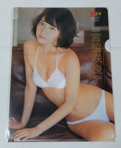 宮脇咲良　クリアファイル　HKT48 AKB48　非売品