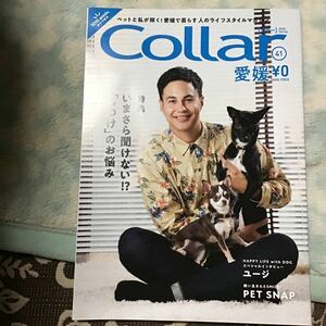 カラー　collar ユージ　犬　冊子　愛媛