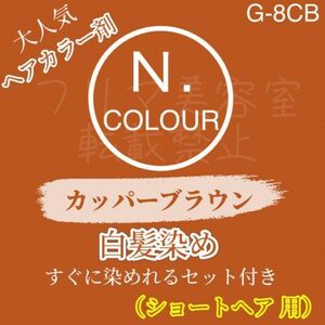 エヌドット　すぐに染めれるヘアカラー（白髪染め）カッパーブラウン　G-8CB