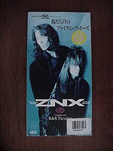 傷だらけのファイティング・ポーズ ZNX