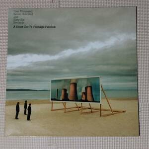 2LP A Short Cut To Teenage Fanclub ティーンエイジ・ファンクラブ ヒット大全集