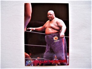 アブドーラ・ザ・ブッチャー◆バンダイ 新日本プロレス 地獄突き 毒針エルボー ピンクフロイド 吹けよ風呼べよ嵐 全日本 悪役レスラー RE