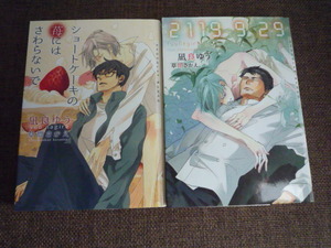 ショートケーキの苺にはさわらないで/2119 9 29 凪良ゆう/草間さかえ 文庫