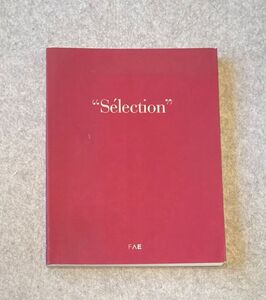 洋書図録 Slection uvres de la collection / 1991 FAE Musee D