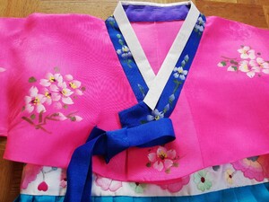 韓服 チマチョゴリ 刺繍入り 成人式 結婚式 パーティー イベント ピンク系×ブルー系