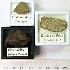 恐竜絶滅セット　Ｋｐｇ頁岩＋隕石＋恐竜の骨　説明付