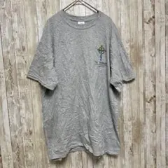 GILDAN ULtra cotton アメリカ 古着 プリント Tシャツ