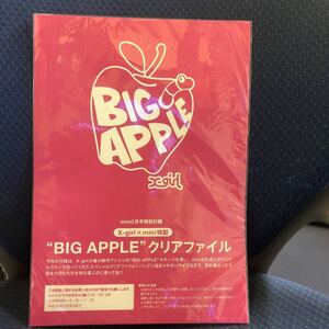 X-girlエックスガール BIG APPLE クリアファイル★mini2008年3月号特別付録★非売品、新品未開封