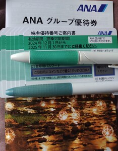 ANA 株主優待券7枚 全日空 グループ優待券付き