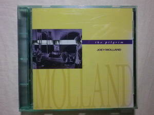 『Joey Molland/The Pilgrim(1992)』(1994年発売,VACK-1006,廃盤,国内盤,歌詞対訳付,Badfinger,UKロック,パワー・ポップ)