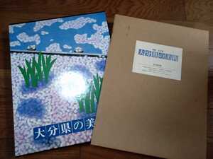 平成6年　大分の美術　思文閣　定価20000円　大型画集　南画　日本画など