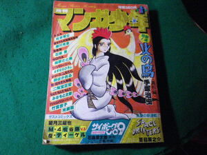 ■月刊 マンガ少年　1981年1月号　サイボーグ009　石森章太郎ほか　朝日ソノラマ■FASD2024042604■