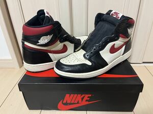 NIKE AIR JORDAN 1 RETRO HIGH OG US11 1/2 29.5cm コーヒー染め加工