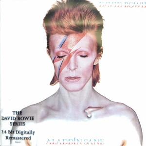 24bit デジタルリマスター デヴィッド・ボウイ アラジン・セイン David Bowie Aladdin Sane 24bit Digitally Remasterd