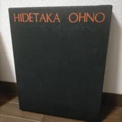 HIDETAKA OHNO 大野俶嵩画集 花に祈る 京都書院