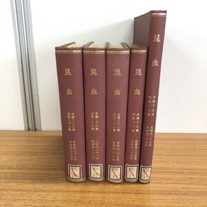 ▲01)【同梱不可】【除籍本】日本昆虫学会 雑誌「昆虫」合本 昭和24〜34年 5冊セット/第17〜第27巻/生物学/学会誌/バックナンバー/A