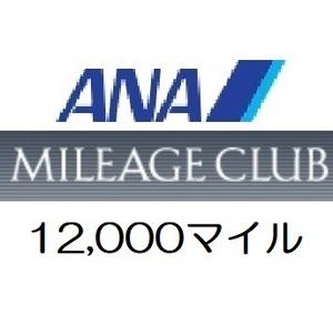 全日空ANA12,000マイル　希望の口座へ加算