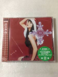  【新品未開封CD】＜クリスマスシングル＞ 佐々木希 / ジン ジン ジングルベル［2010.11.24リリース］