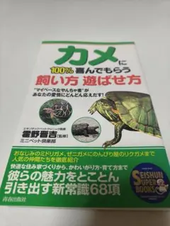 カメに100%喜んでもらう飼い方遊ばせ方