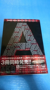 写真集 AKB48 ヴィジュアルカタログ2010 前田敦子・小嶋陽菜・倉持明日香他！ レア！