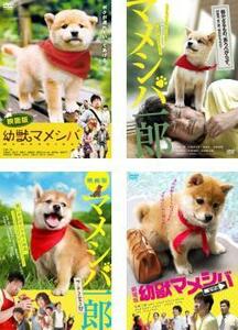 映画版 マメシバシリーズ 全4枚 幼獣マメシバ + マメシバ一郎 + マメシバ一郎 フーテンの芝二郎 + 幼獣マメシバ 望郷篇 レンタル落ち セッ