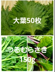 青紫蘇50枚　つるむらさき150g　 野菜セット　野菜詰め合わせ　青しそ