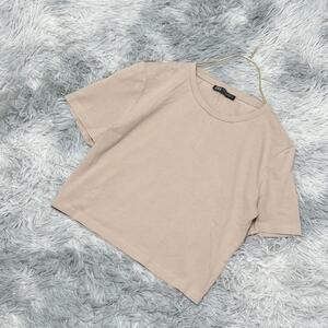 【ZARA】 ザラ Tシャツ ベージュ系【USA M】ヘルシー カワイイ