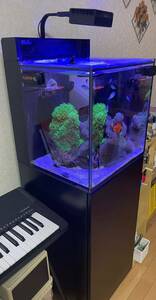 【LED付！おまけ有り！】RedSea Max Nano Cube レッドシー マックス ナノ