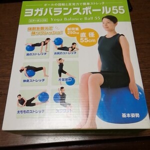 ヨガバランスボール55 エアポンプ付き　長期保管品　未使用