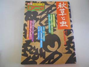 ●K11D●秋草と虫●太陽季刊アニマ●平凡社●光悦色紙深草の…本願寺菊の間襖絵芹沢圭介いろは●即決