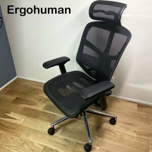 ☆動作良好☆ Ergohuman エルゴヒューマン ENJOY メッシュ　オフィスチェア　ブラック　黒