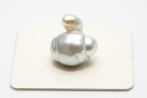 南洋白蝶真珠パールルース　15×11mm　シルバーグレーカラー