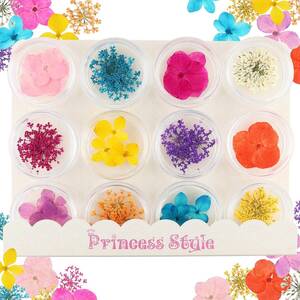 Princess-style 押し花 あじさい＆レース ドライフラワー 花材 ネイル パーツ レジン 封入 材料 12色×各3枚 