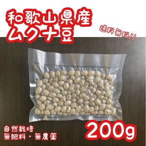 和歌山県産 ムクナ豆 200g 無肥料 栽培期間中農薬不使用 自然栽培 八升豆 令和6年産