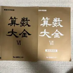 算数大全 VI 能開センター