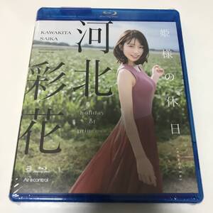 新品 未開封 河北彩花 (かわきたさいか) 2024/01/30 Aircontrol　9oae249 ブルーレイディスク Blu-ray イメージ ビデオ 審査済 エスワン S1