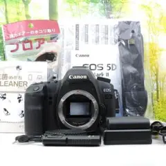 フルサイズの入門機☆Canon 5D markⅡ☆あらゆるシーンに対応！