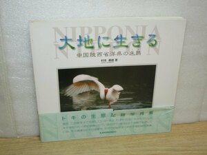 トキの生態記録写真集■大地に生きる 中国陜西省洋県のトキ　村本義雄/橋本確文堂/1997年