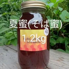 国産　純粋　蜂蜜　はちみつ　1.2kg　そば蜜