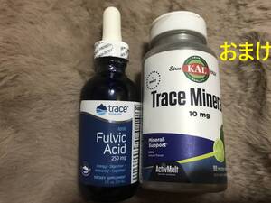 イオニックフルボ酸 250mg 59ml トレースミネラル Trace Minerals マグネシウム 塩化物 塩化マグネシウム ミネラル