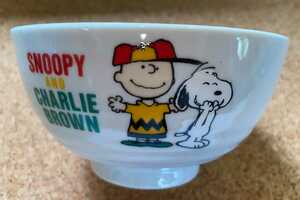 ※◆スヌーピー ＆ チャーリー・ブラウン◆ 小丼 器 陶器 SNOOPY AND CHARLIE BROWN