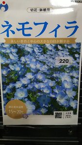 ３袋セット ネモフィラ インシグニスブルー 種 郵便は送料無料