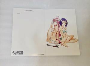 To LOVEる 原画展 ポスカ A-10 ララ 西連寺春菜　ポストカード バラ売り トラブル 15周年記念原画展 finale ジャンプ展 ポストカードブック