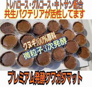 クワガタ初令幼虫の個別管理に！プリンカップ入りプレミアム3次発酵クワガタマット【6セット】微粒子でよく食べます☆トレハロース配合